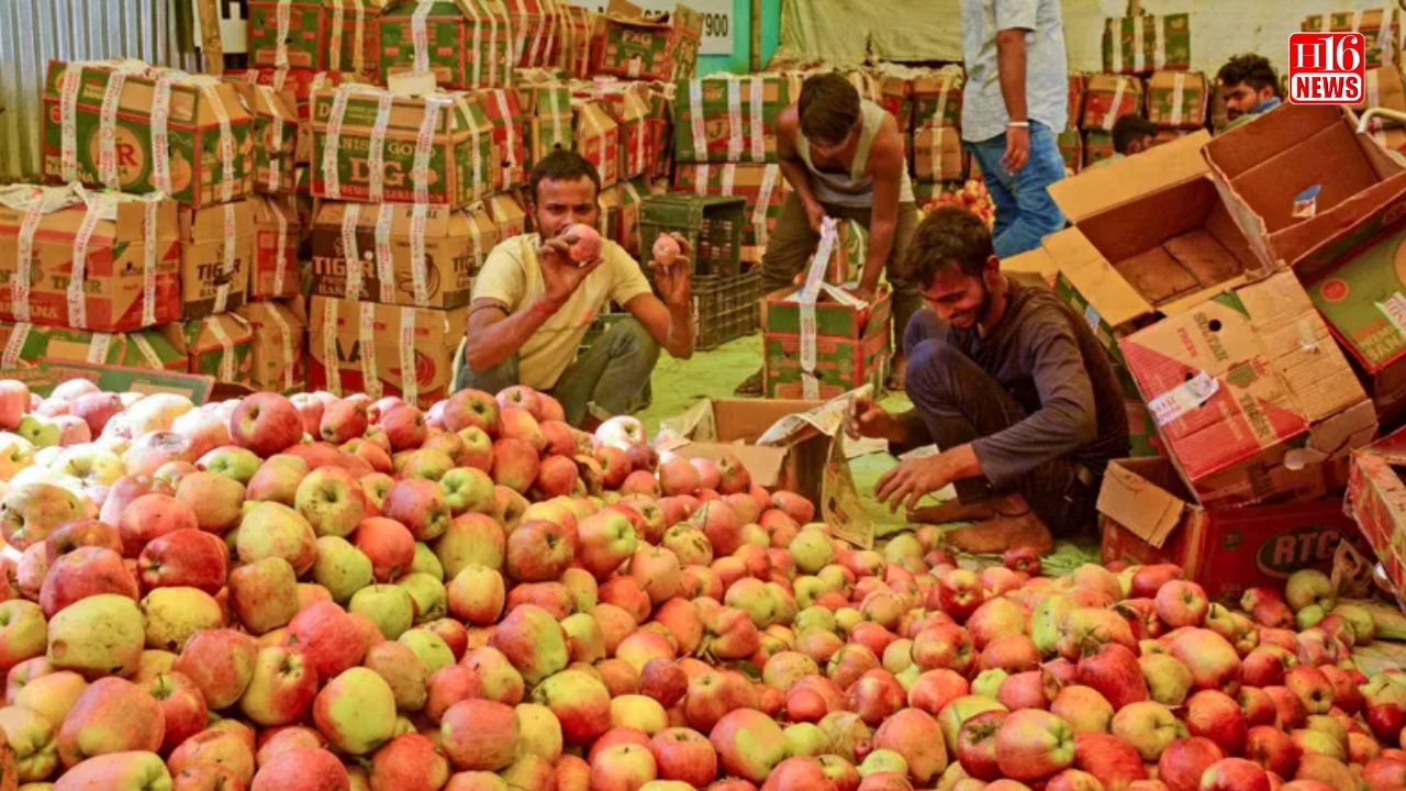 Delhi’s Azadpur Mandi, India’s largest fruits & vegetables market